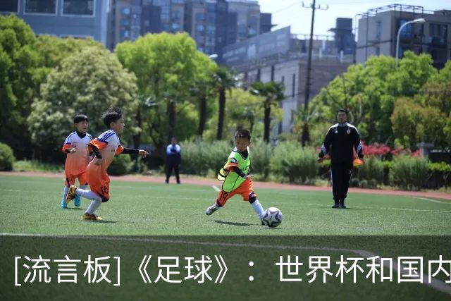 [流言板]《足球》：世界杯和国内足球撞车，中超热度基本保持稳定
